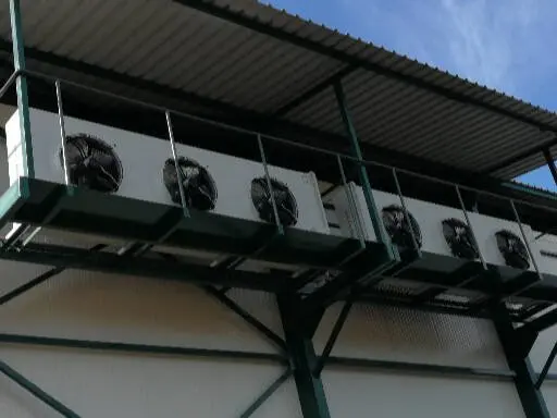 Plantaže Prodanović - Topola